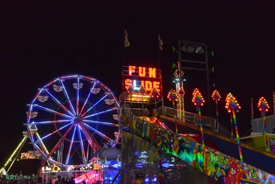 DSC_7809 (Large).JPG